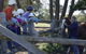 Harlow Park Horse Riding - thumb 2