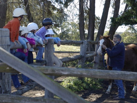 Harlow Park Horse Riding - Accommodation Redcliffe 2