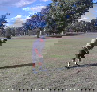 Inverell Golf Club - Accommodation Redcliffe