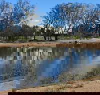 Lake King Wetlands at Rutherglen - Accommodation Redcliffe