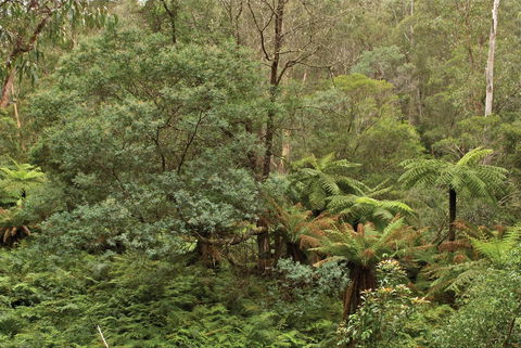Lind National Park - Accommodation Redcliffe 0