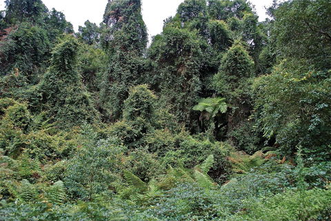 Lind National Park - Accommodation Redcliffe 1