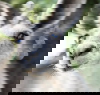 Lochern National Park - Accommodation Redcliffe