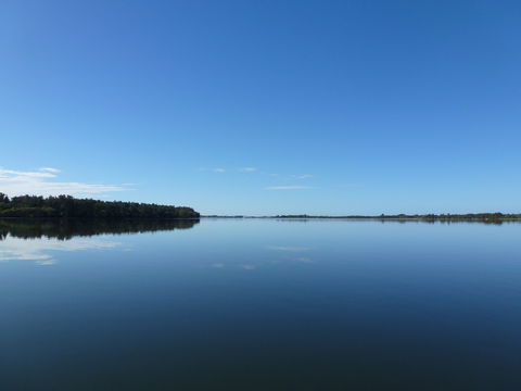 Manning River - Accommodation Redcliffe 0