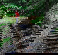 Montezuma Falls - Accommodation Redcliffe