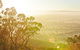 Mt Glenrowan Lookout Walk - thumb 1