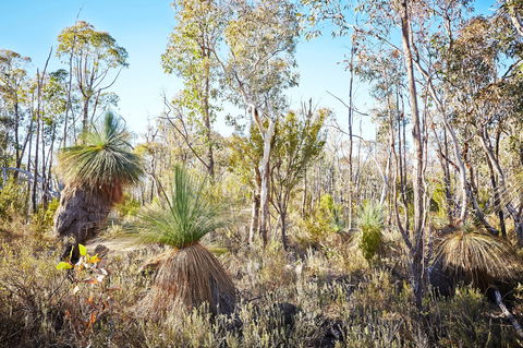 Mt Glenrowan Lookout Walk - Accommodation Redcliffe 2