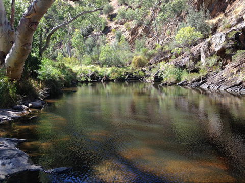 Onkaparinga River National Park - Accommodation Redcliffe 2