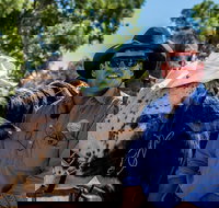 Outback Stockman's Show - Accommodation Redcliffe