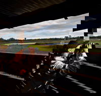 Reed Beds Bird Hide Boardwalk - Accommodation Redcliffe