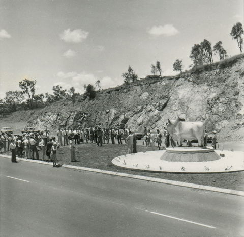 Rockhampton Bull Statues - Accommodation Redcliffe 0