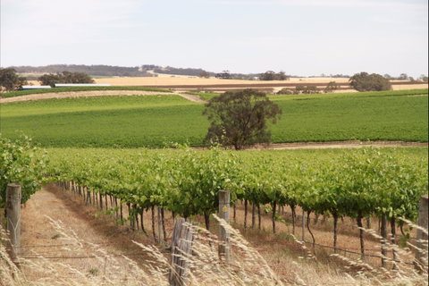 Smidge Wines Tasting Room - Accommodation Redcliffe 0