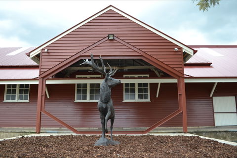 The Somerset Regional Art Gallery - The Condensery - Accommodation Redcliffe 1