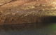 Tunnel Creek National Park - thumb 0