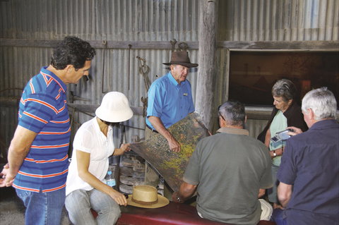 Venus Gold Battery - Accommodation Redcliffe 1