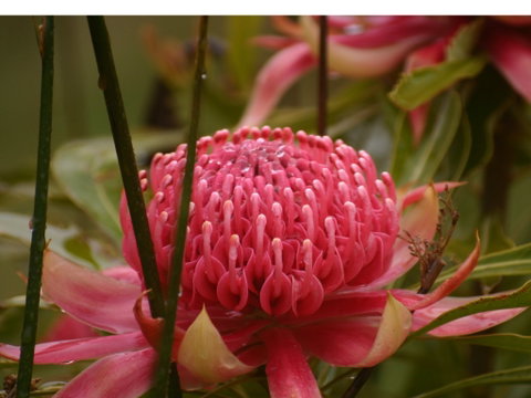 Vortex Healing Centre - Accommodation Redcliffe 2