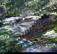Washpools waterhole - Accommodation Redcliffe