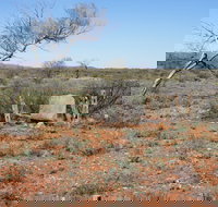 Winnecke Goldfield Cemetery - Accommodation Redcliffe