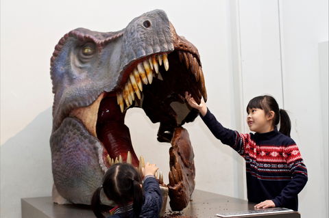 Australian Museum - Accommodation Redcliffe 0