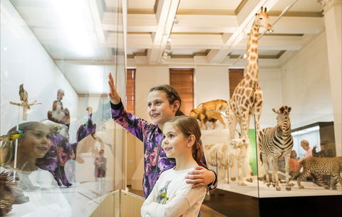 Australian Museum - Accommodation Redcliffe 1