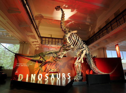 Australian Museum - Accommodation Redcliffe 2