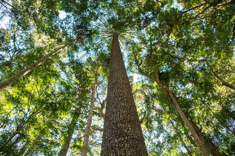 Big Sky National Parks - Accommodation Redcliffe 0
