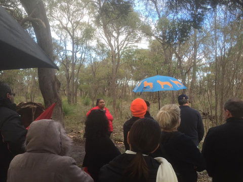 Bindjareb Cultural Park - Accommodation Redcliffe 2