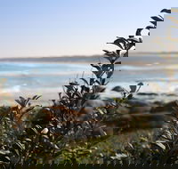 Cape Conran Coastal Park - Accommodation Redcliffe