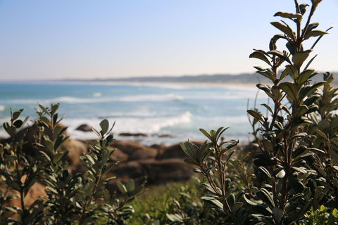 Cape Conran Coastal Park - Accommodation Redcliffe 0