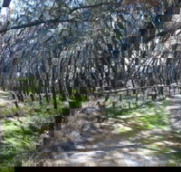Federation Walk - Accommodation Redcliffe