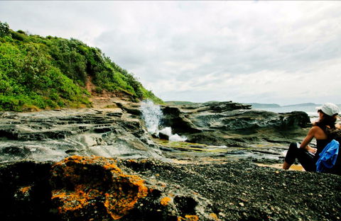 Glenrock State Conservation Area - Accommodation Redcliffe 0