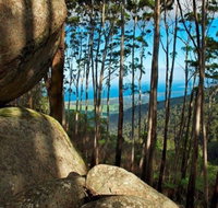 Gulaga Mountain Walk - Accommodation Redcliffe