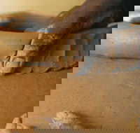 Hermannsburg Potters - Accommodation Redcliffe