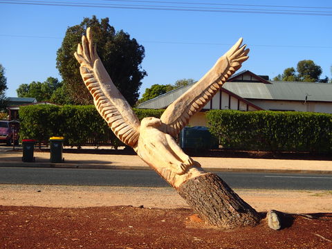 Loxton Tree Sculptures - Accommodation Redcliffe 0