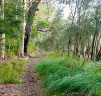 Meroo Lake walking track - Accommodation Redcliffe