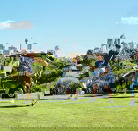 Moore Park Golf Course - Accommodation Redcliffe