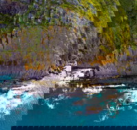 Newland Head Conservation Park - Accommodation Redcliffe