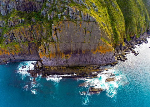 Newland Head Conservation Park - Accommodation Redcliffe 0