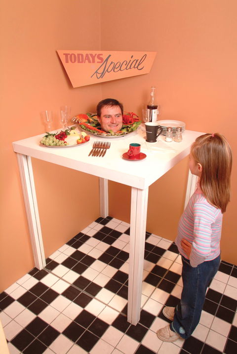 Phillip Island Experience - Accommodation Redcliffe 0