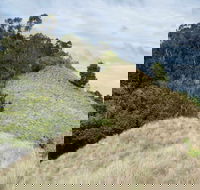 Pieries Peak Walking Track - Accommodation Redcliffe