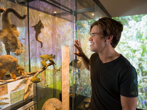 Queensland Museum - Accommodation Redcliffe 0