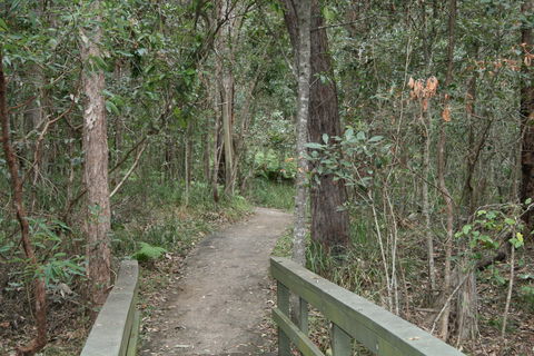 Springwood Conservation Park - Accommodation Redcliffe 0