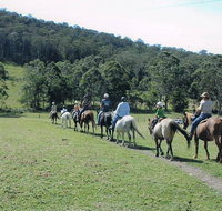 Timbertops - Horse Riding - Accommodation Redcliffe