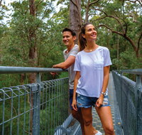 Valley of the Giants Tree Top Walk - Accommodation Redcliffe