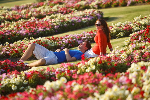 Victoria State Rose Garden At Werribee Park - Accommodation Redcliffe 1