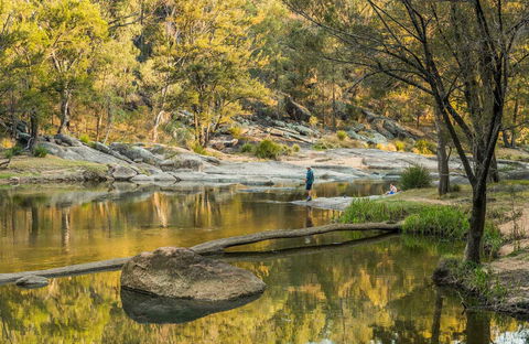 Warrabah National Park - Accommodation Redcliffe 0