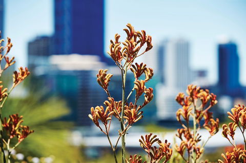 A Day In Perth - Accommodation Redcliffe 1