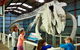 Albany's Historic Whaling Station - thumb 2