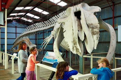 Albany's Historic Whaling Station - Accommodation Redcliffe 2