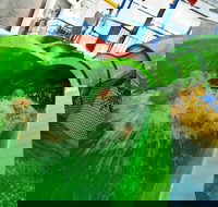 AquaPulse - Accommodation Redcliffe